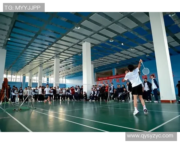 羽毛球的拼搏与梦想：上海羽毛球队成长历程全景纪实